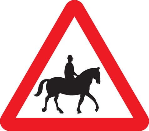 Accompanied horses or ponies - Image 1